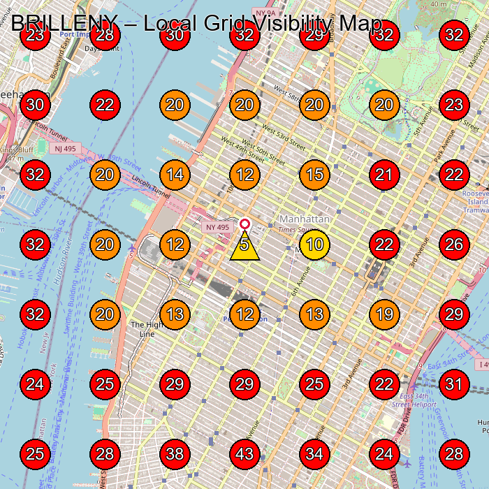 BRILLENY GeoGrid visibility map for Skin Care Clinic in New York